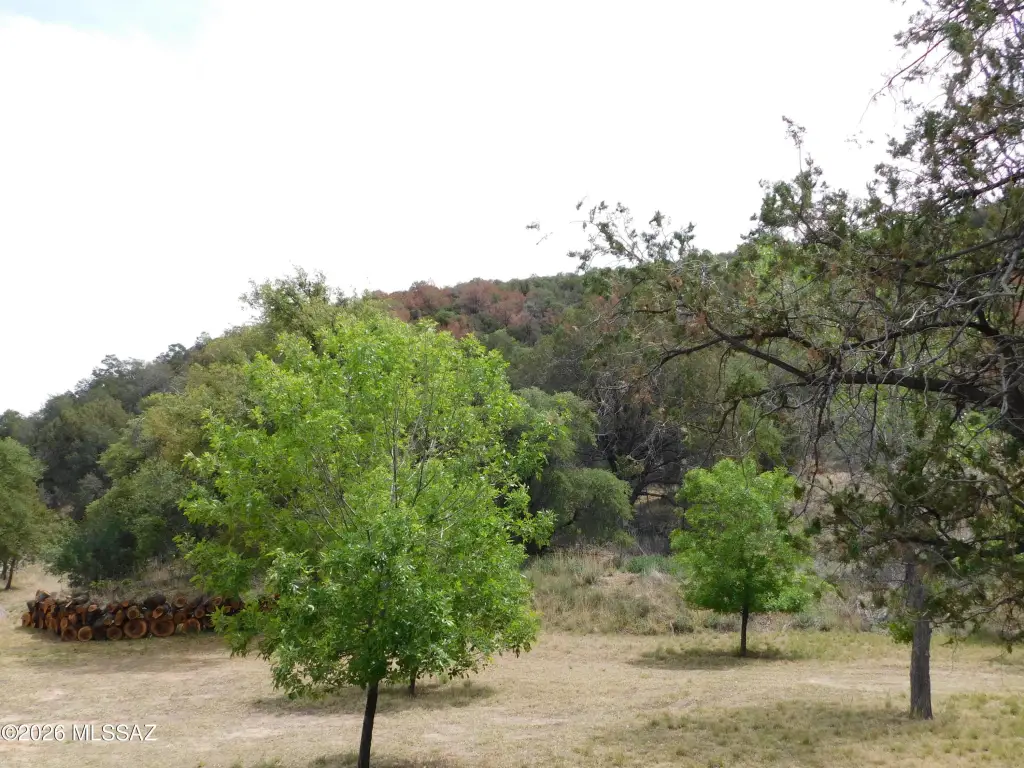 Picture 12