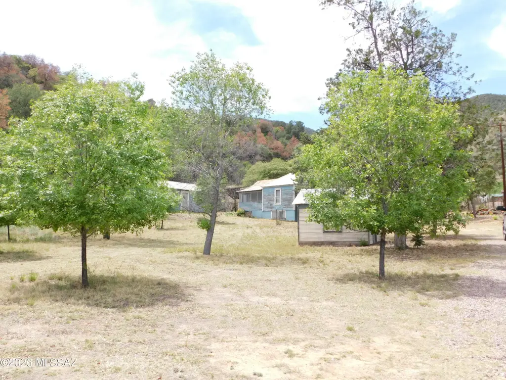 Picture 13