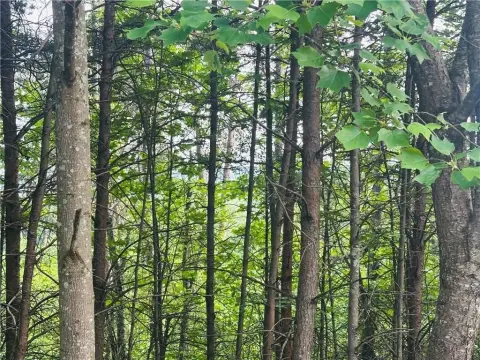 Wooded Lot with Sunset Views