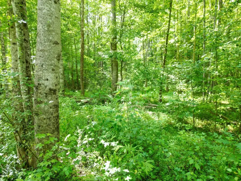 Picture 19