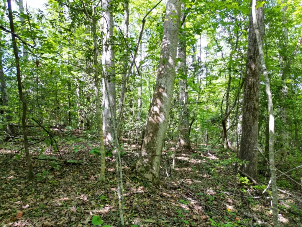Picture 14