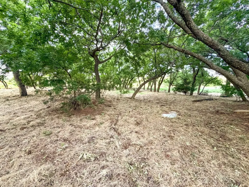 Picture 46