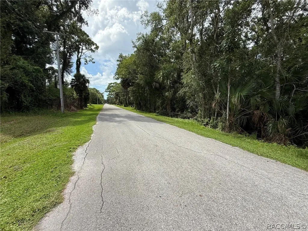 Picture 15
