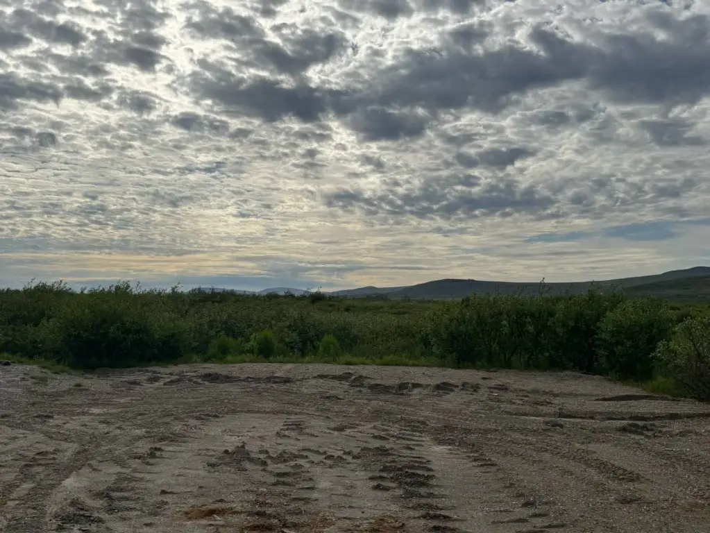 Picture 15