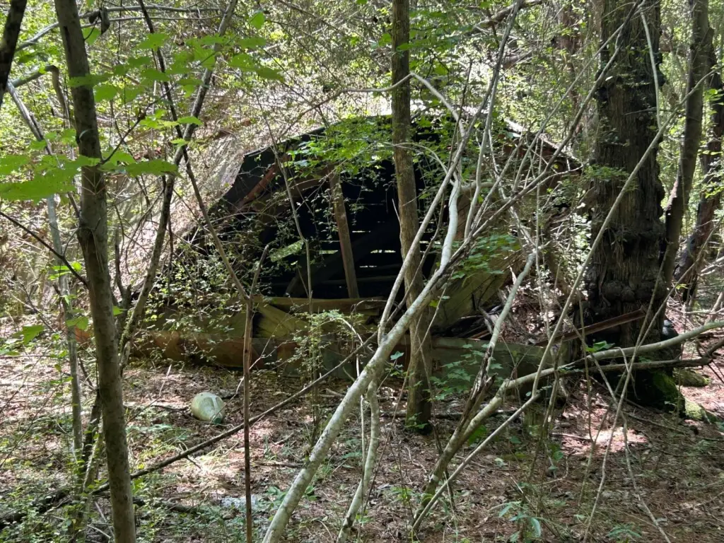 Picture 9