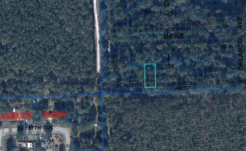 Vacant Land in Hawthorne, FL