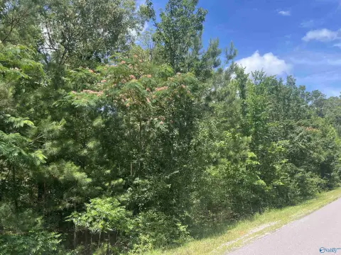 Residential Lot in Growing Glencoe