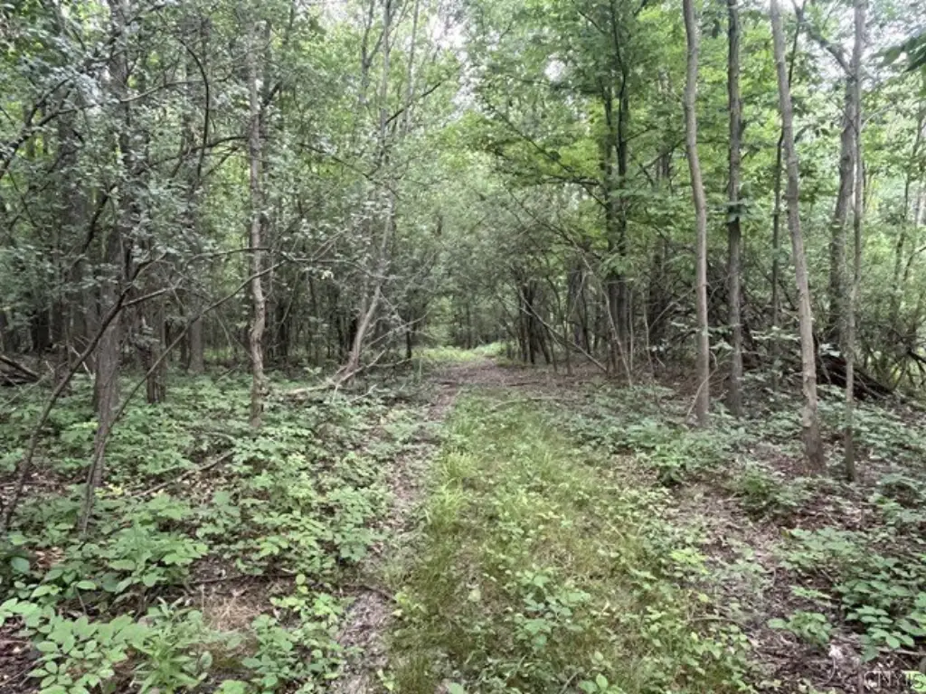 Picture 6