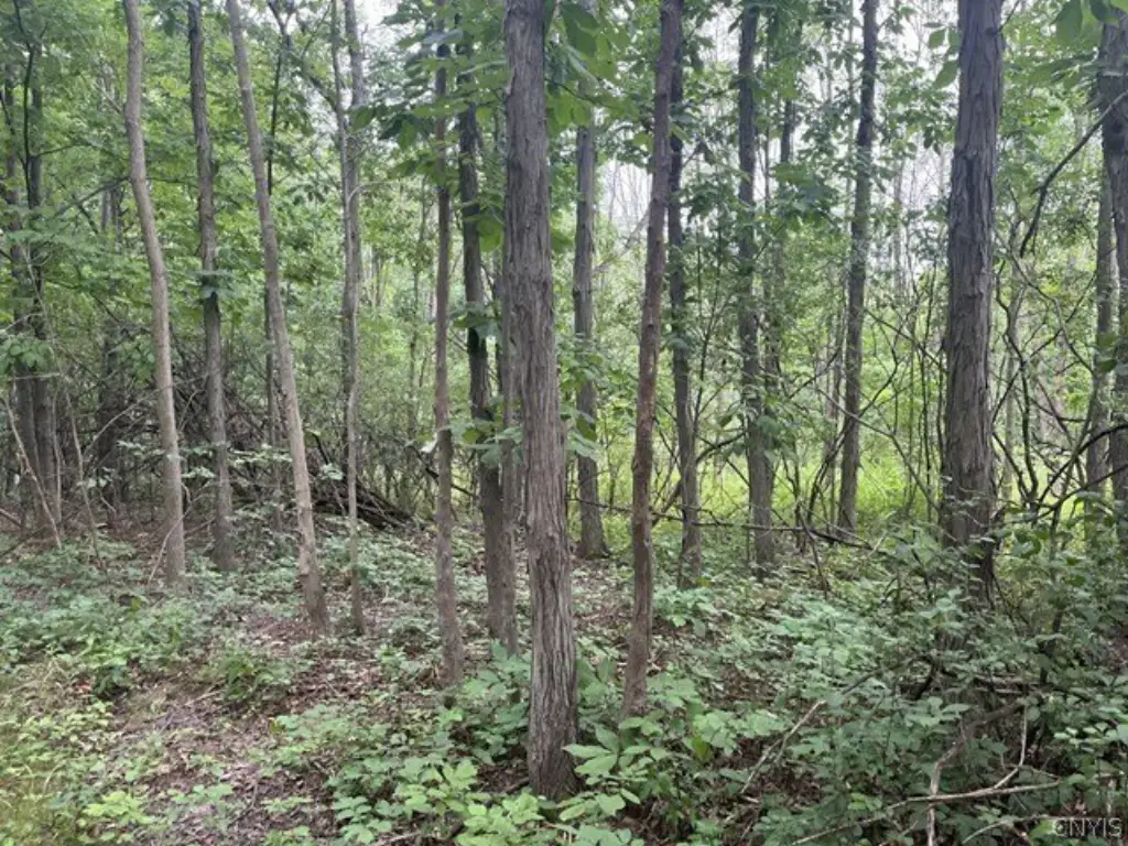 Picture 5