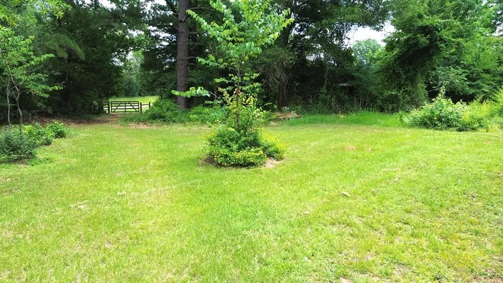 Picture 18