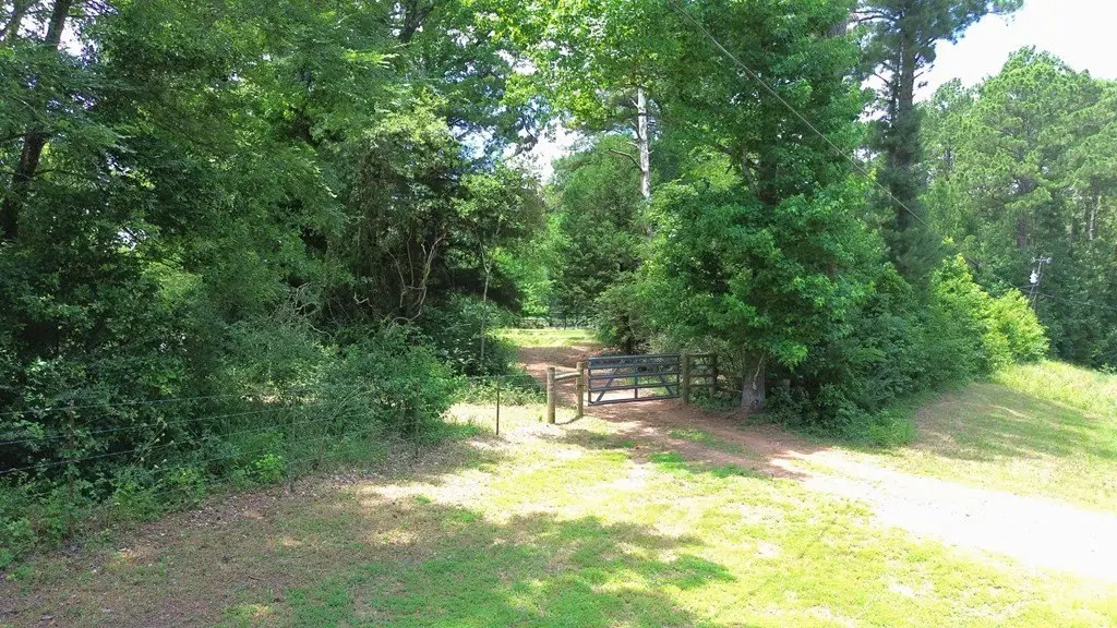 Picture 21