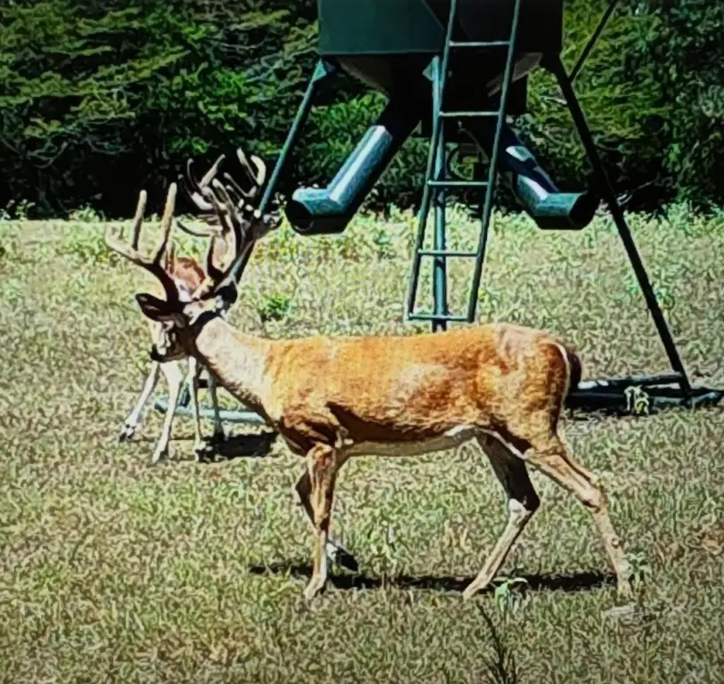 Picture 36