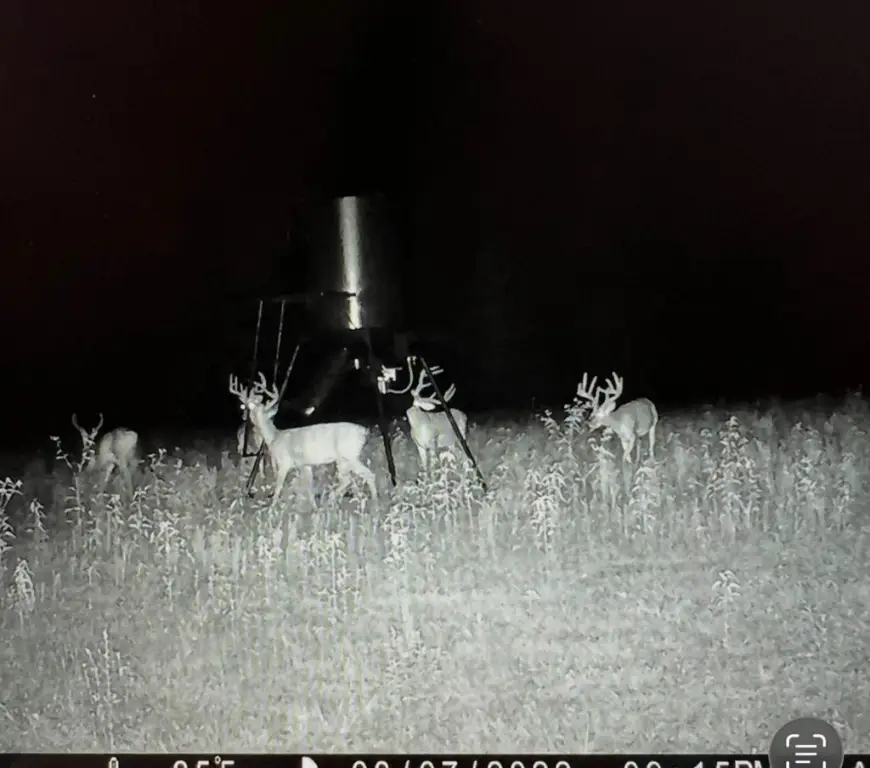 Picture 31
