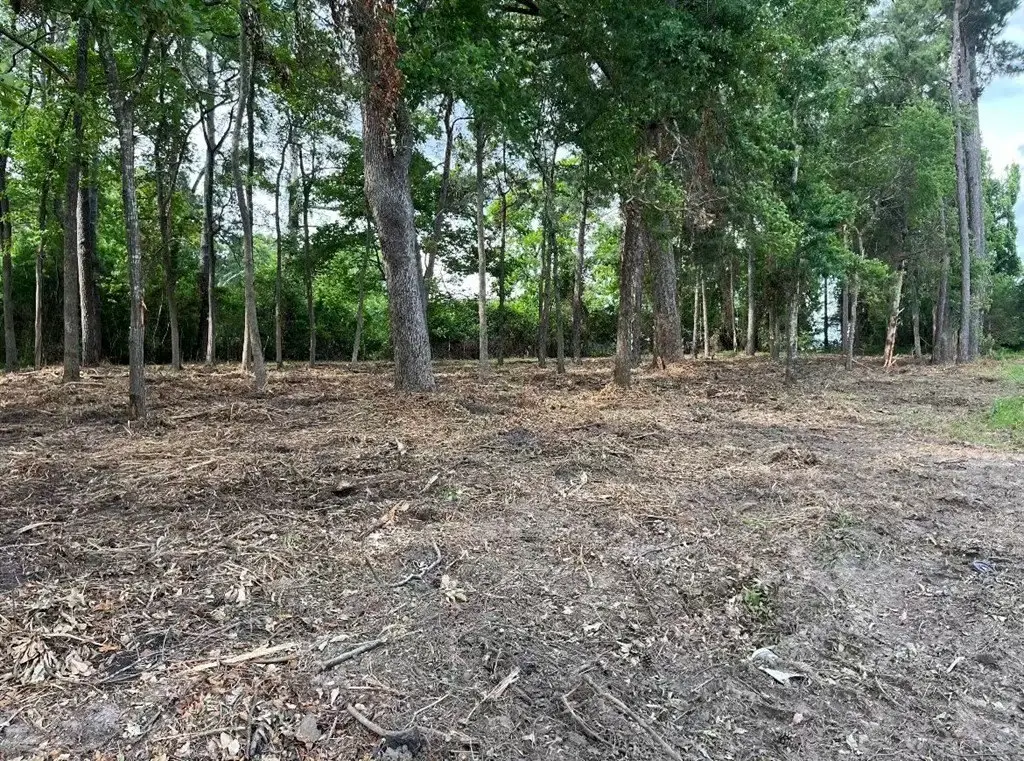 Picture 3
