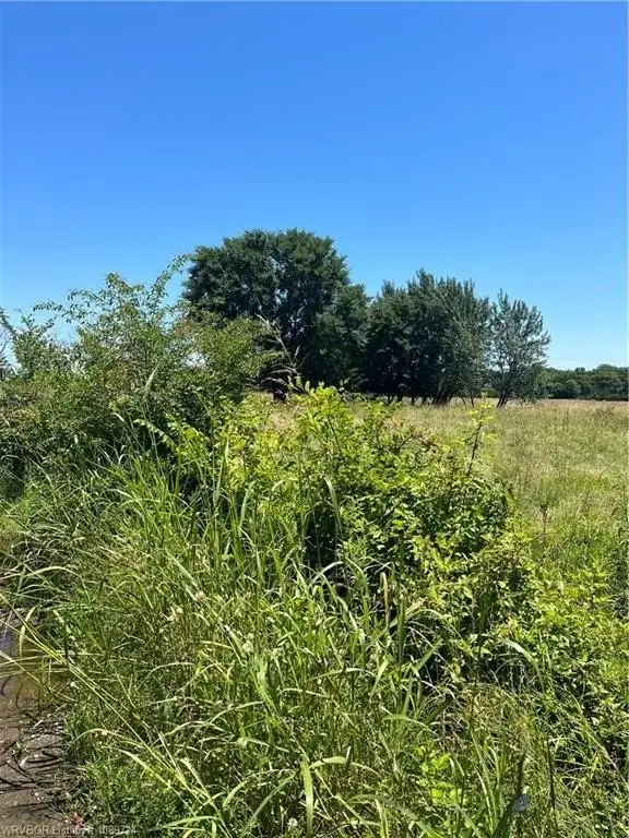 Picture 10
