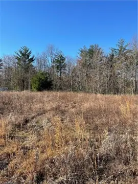 Wooded Acreage in Purlear, NC