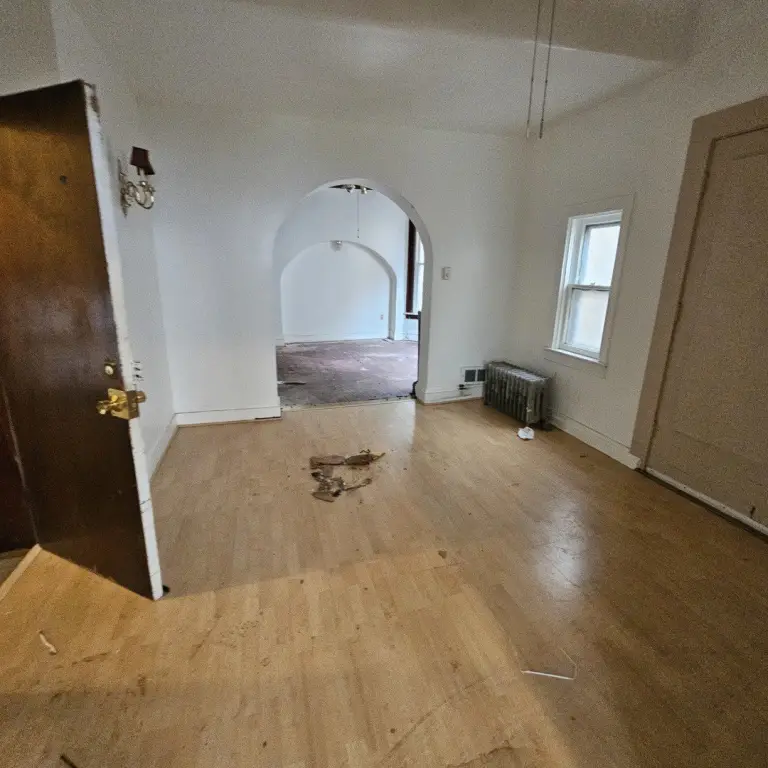 Picture 5