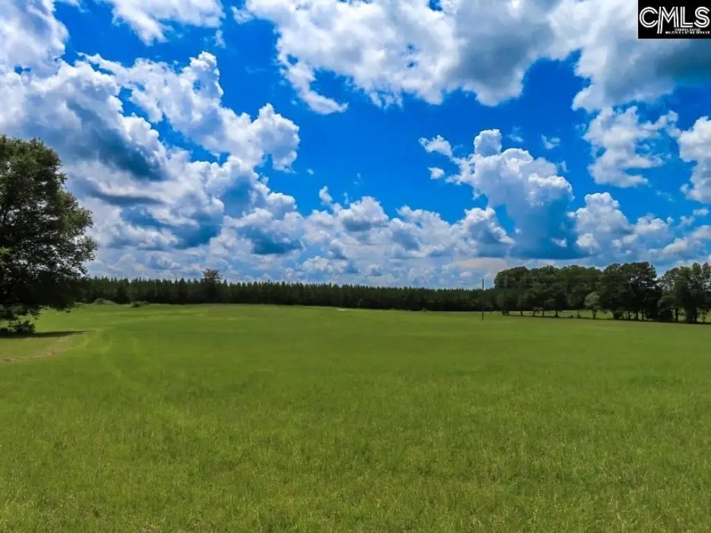 Picture 41