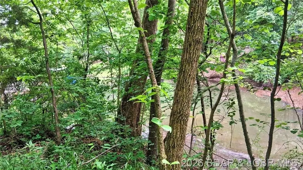 Picture 31