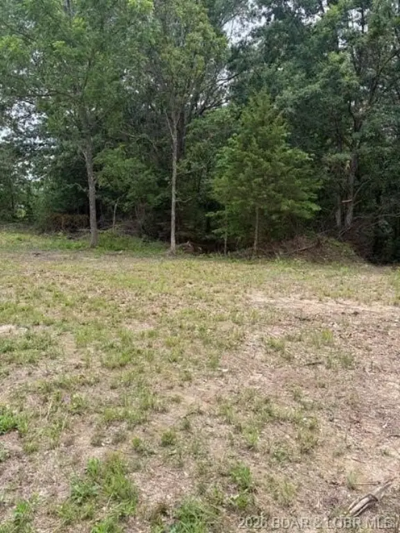 Picture 3