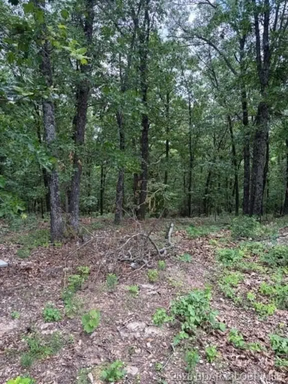 Picture 5
