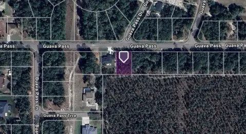 Residential Lot in Silver Springs
