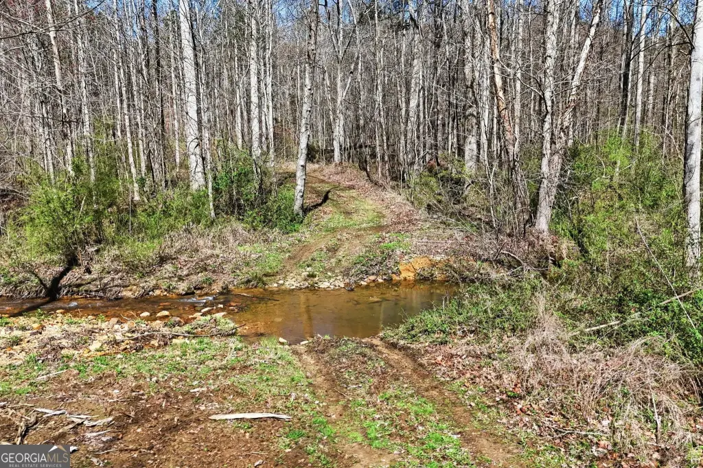 Picture 41