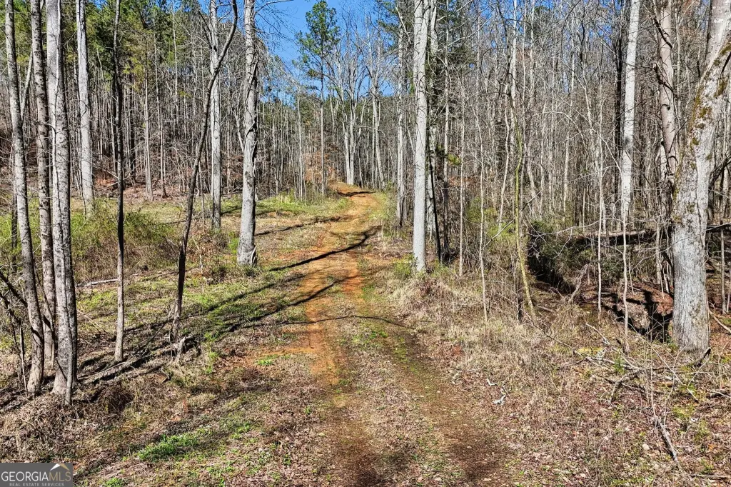 Picture 43