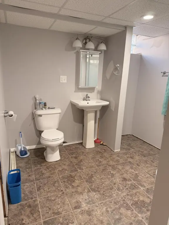 Picture 15