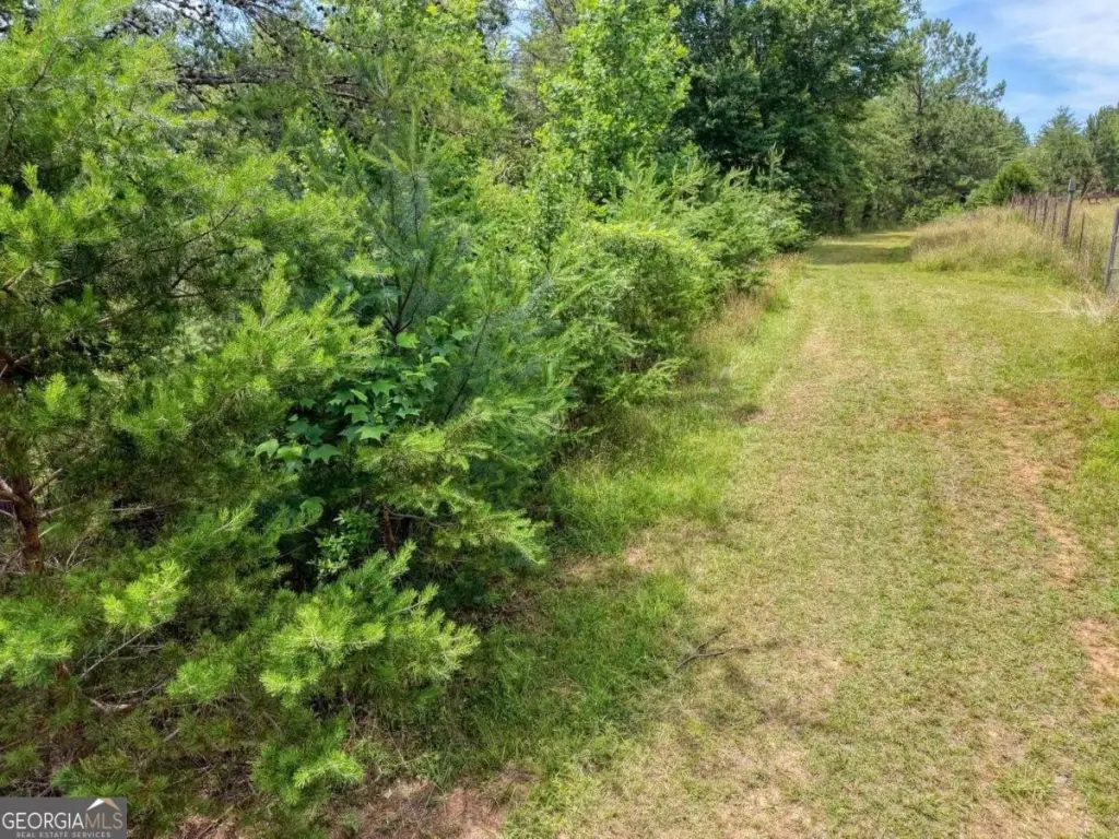 Picture 17