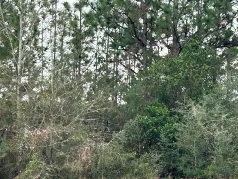 Land in Serene Natural Surroundings