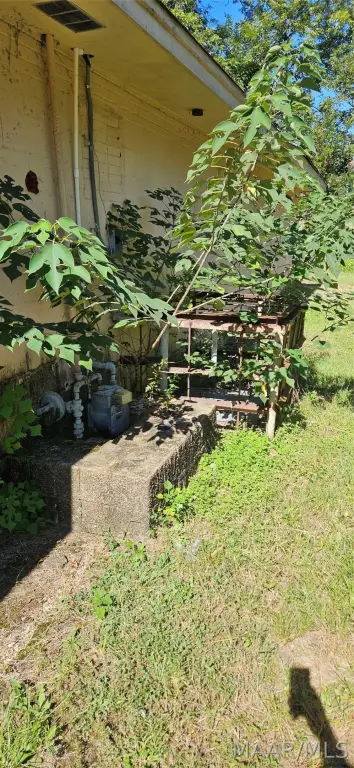 Picture 4
