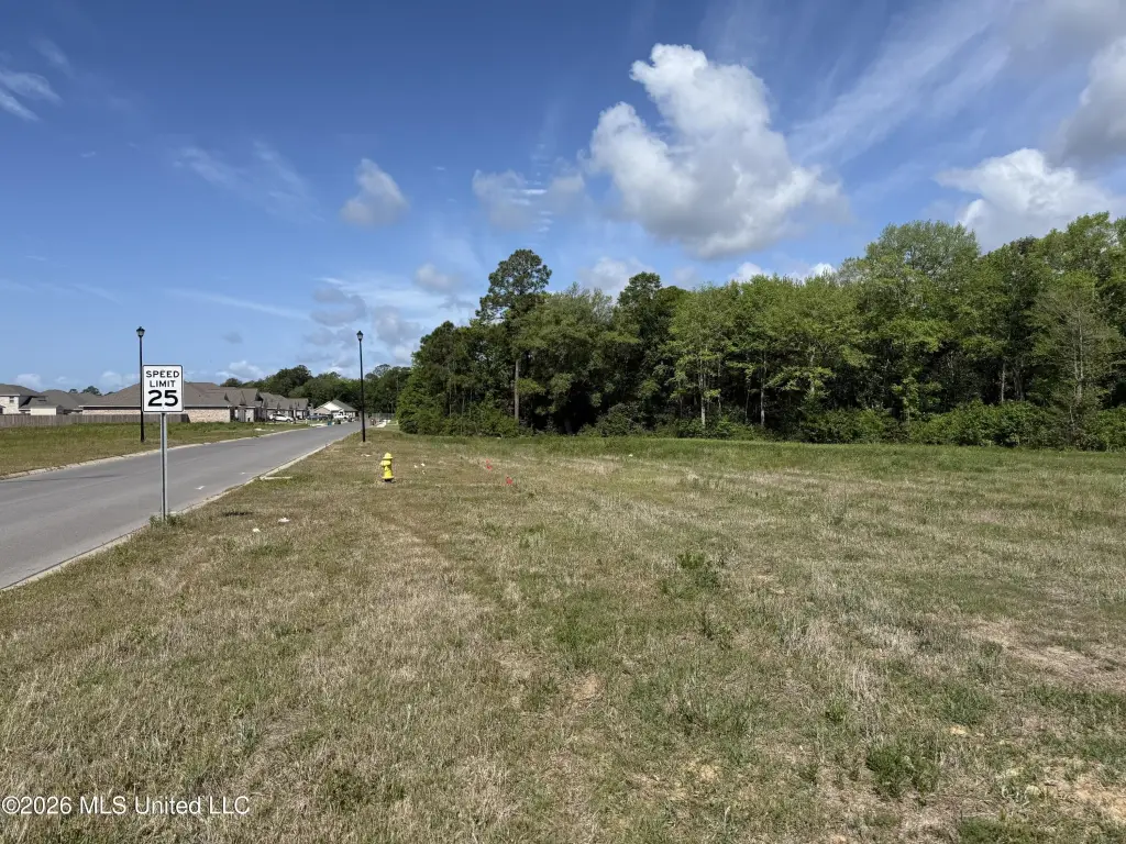 Picture 4