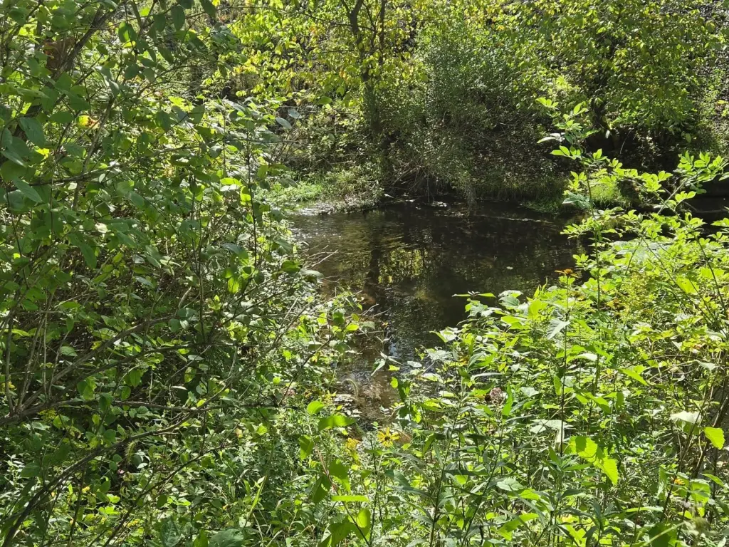 Picture 4
