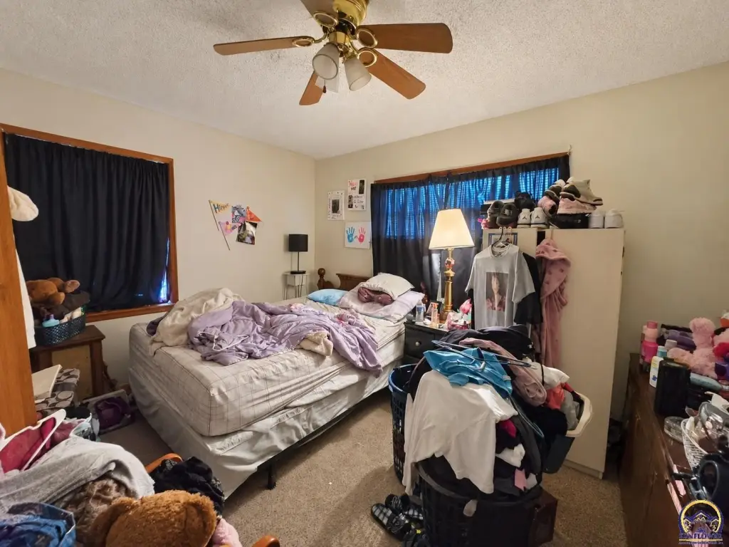 Picture 15