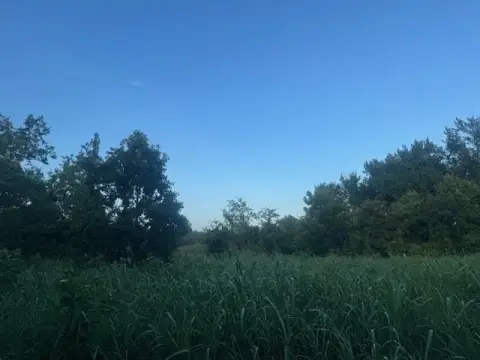 8.7 Acres Unimproved Land