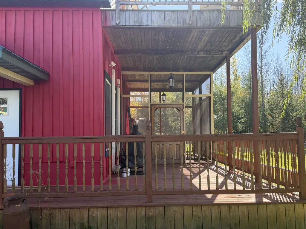 Picture 6