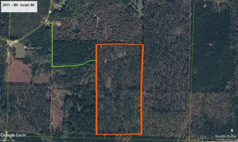 Pine Plantation Agricultural Land