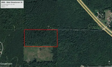 Timbered Land Tract
