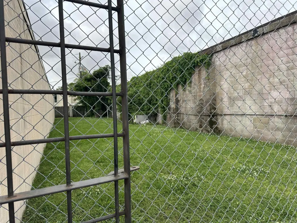 Picture 21
