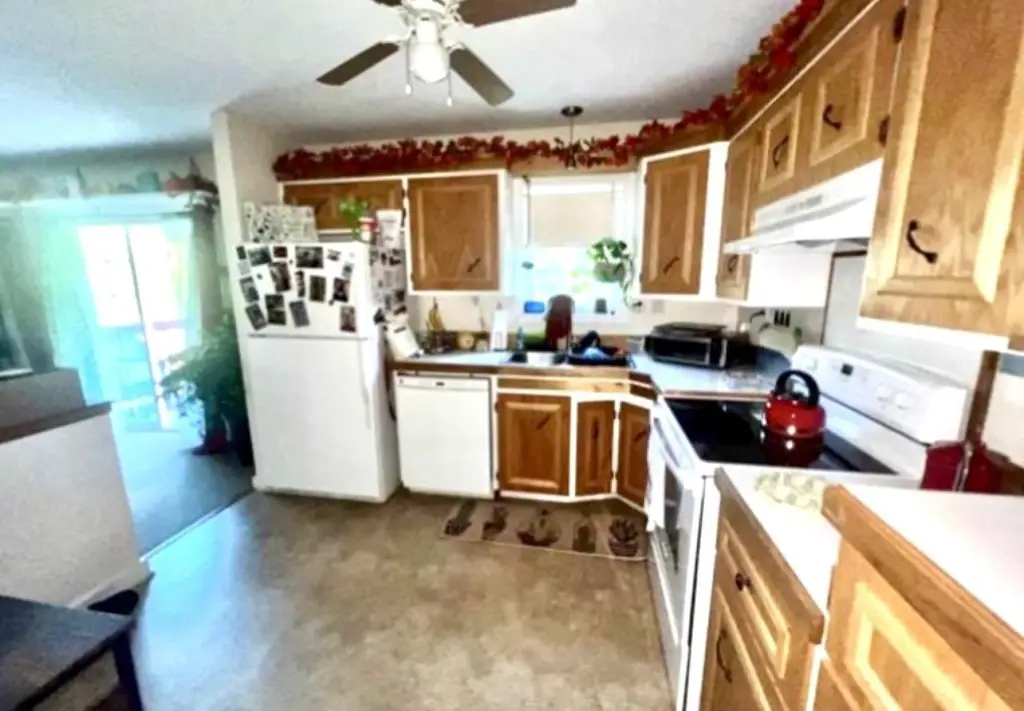 Picture 17
