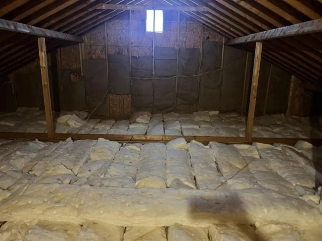 Picture 23