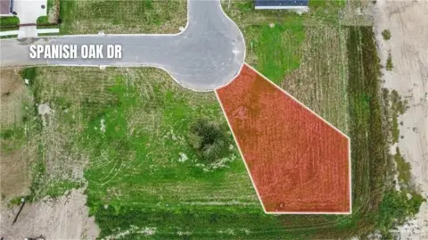 Residential Lot in Weslaco, TX