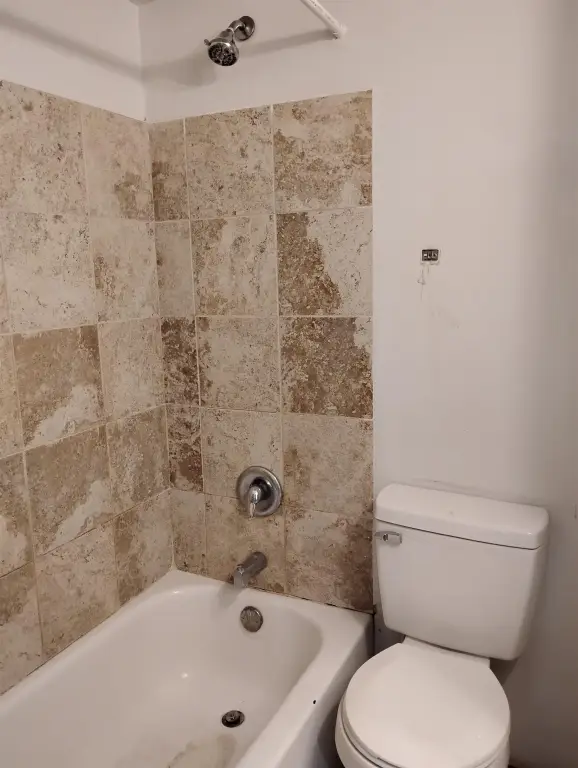 Picture 36
