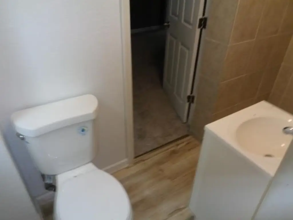 Picture 11