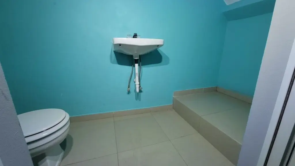 Picture 8