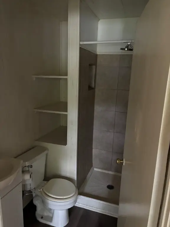 Picture 11