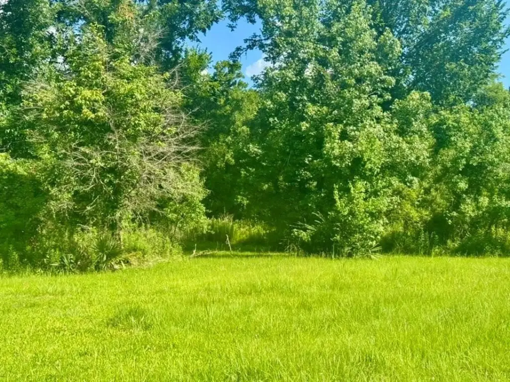 Picture 14