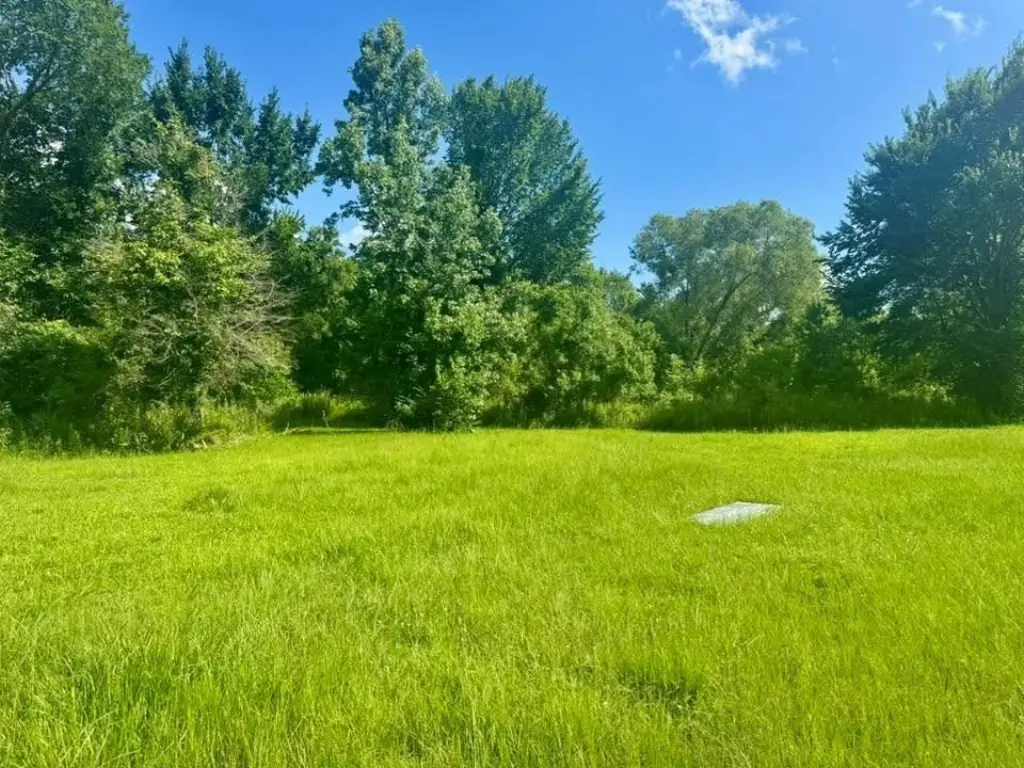 Picture 15