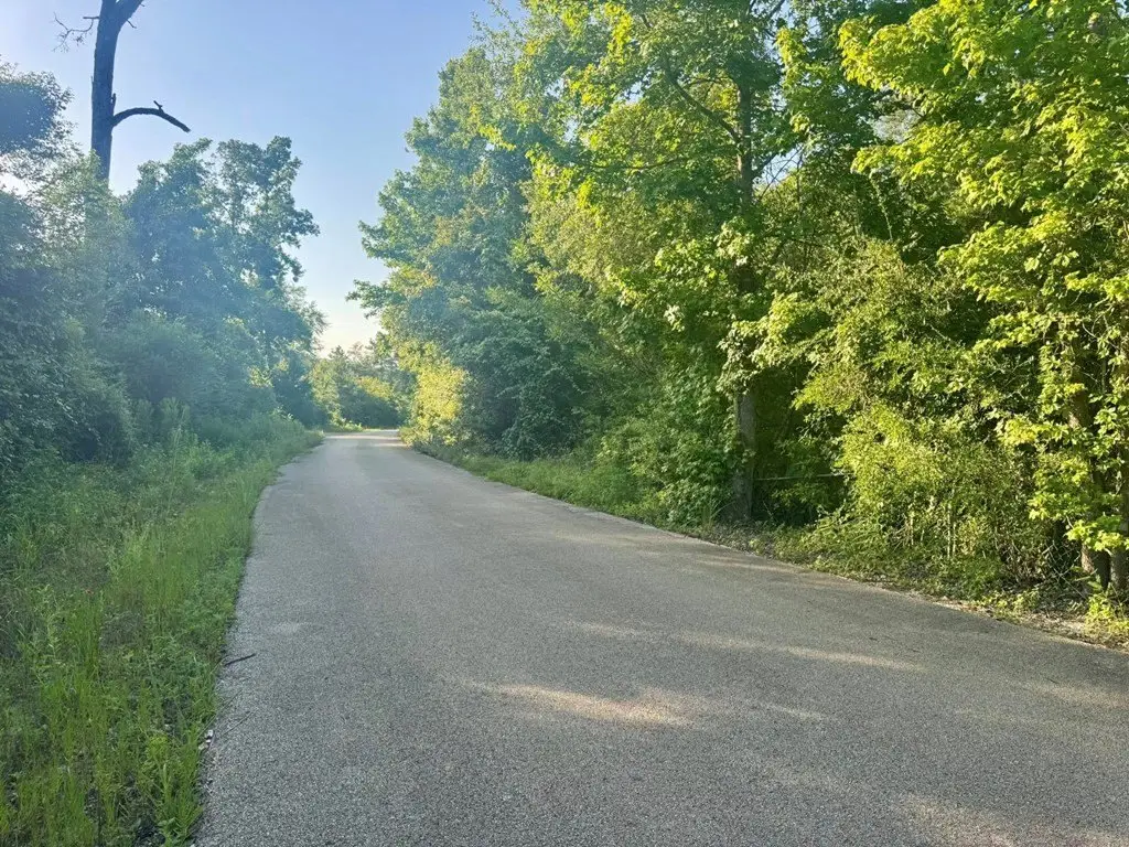 Picture 20